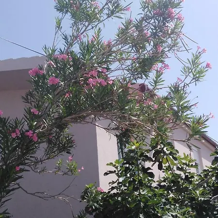 Apartamento Vrilo Vir
